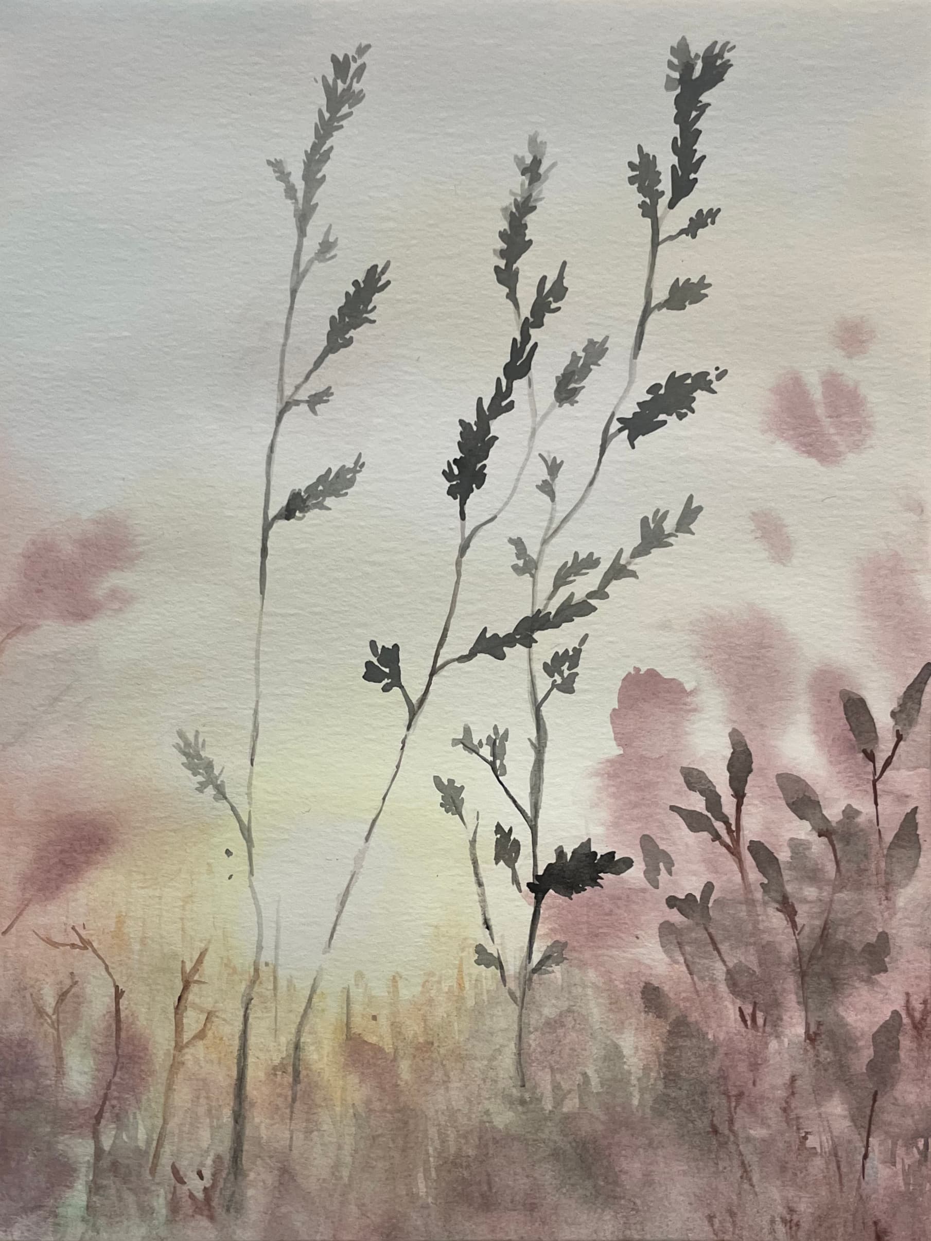 Watercolor of tall grasses in silhouette against a soft grey and rose sky, blurred pink wildflowers in the foreground